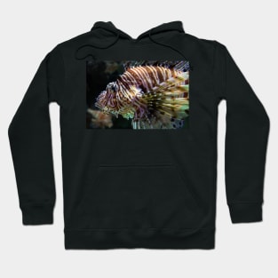 LION FISH Hoodie